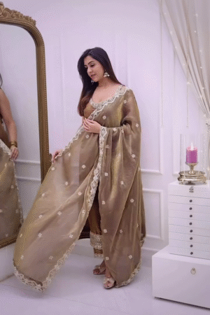 Golden Brown Embroidered Ethnic Suit with Dupatta