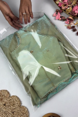 Ethereal Seafoam Green Saree with Botanical Artistry