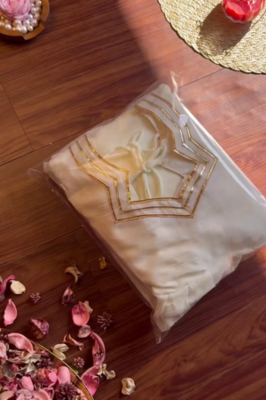 Minimalist Cream Anarkali with Concentrated Gota Borders