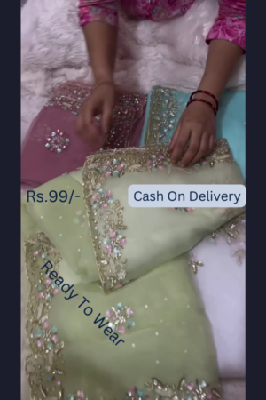 Lime Frost Embroidered Organza Dupatta