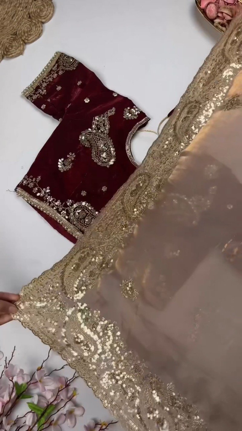 Opulent Paisley Embellished Saree Ensemble β Available in Crimson & Deep Plum