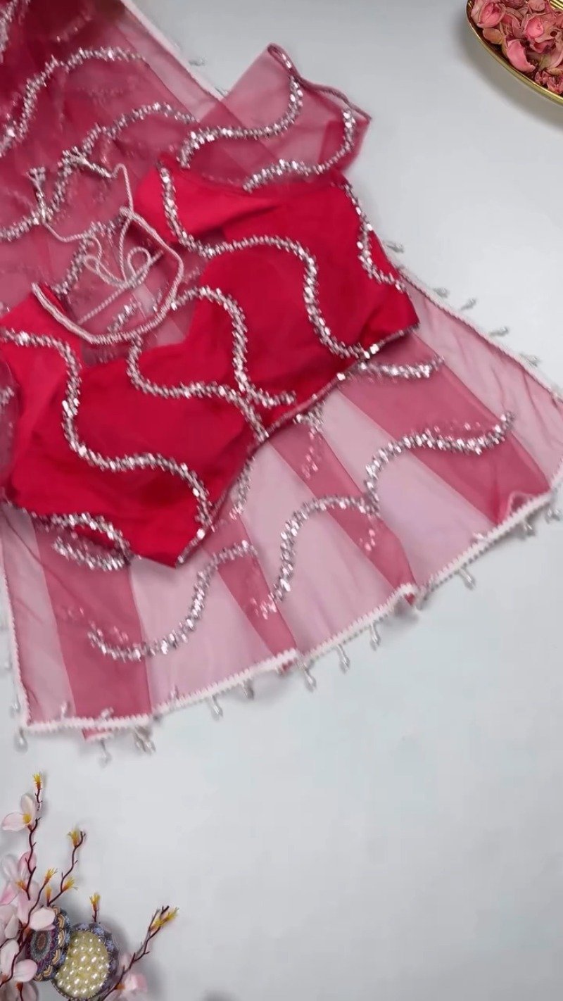 Ethereal Sequinned Organza Saree Set โ Available in Serene Sky Blue & Vibrant Fuchsia Pink - Image 5