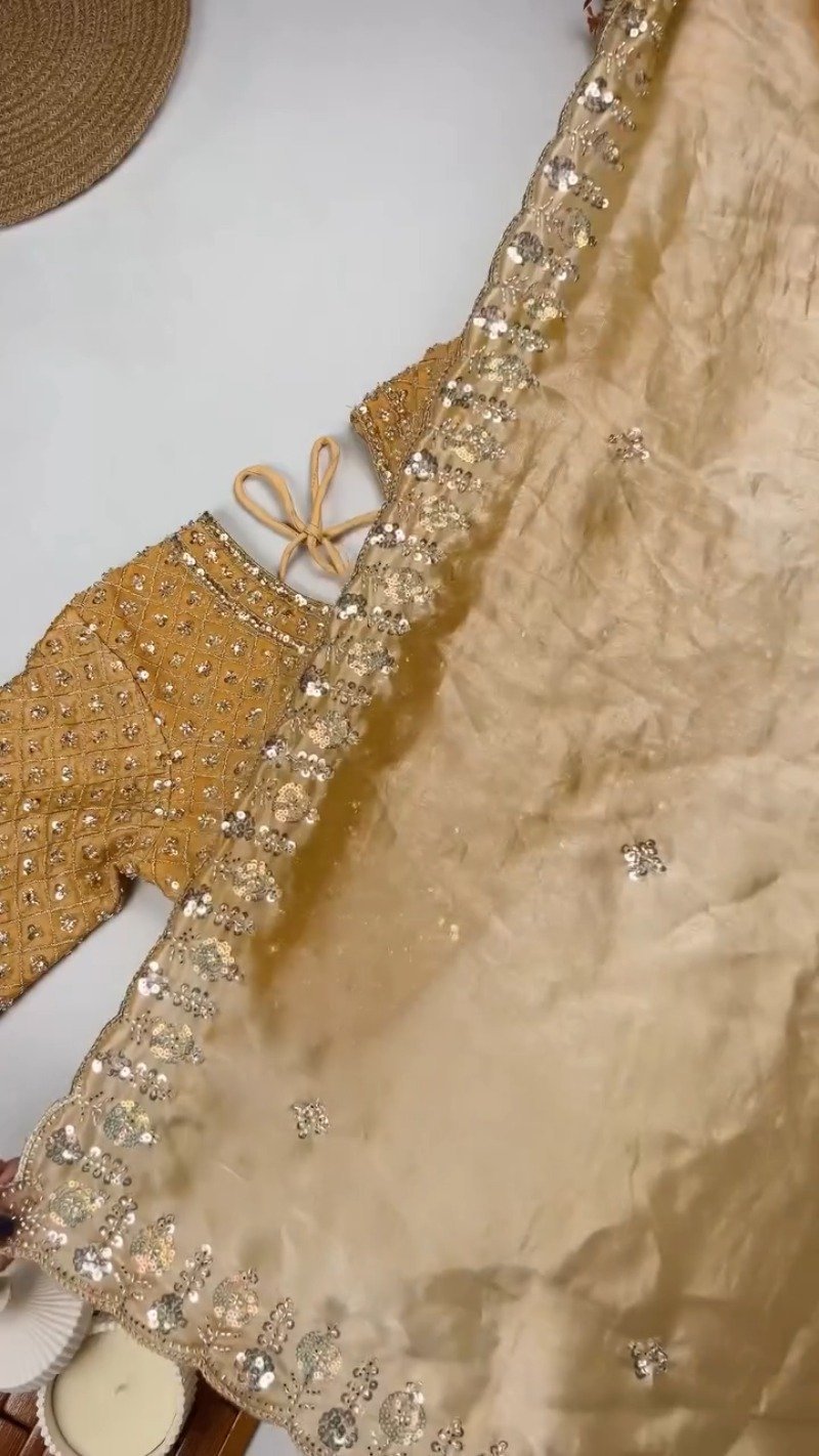 Opulent Velvet Sequined Festive Saree Set β Available in Mustard Gold, Royal Blue, Olive Green & Regal Red - Image 7